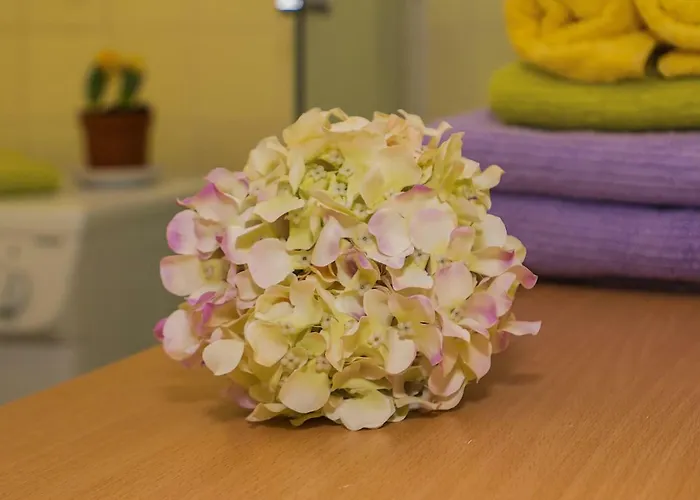 2 Bedroom Apartment/parking/market Apartment *